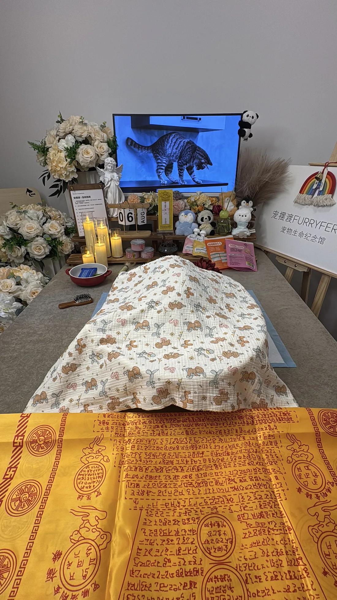 衢州宠物告别仪式中的鲜花与纪念照片